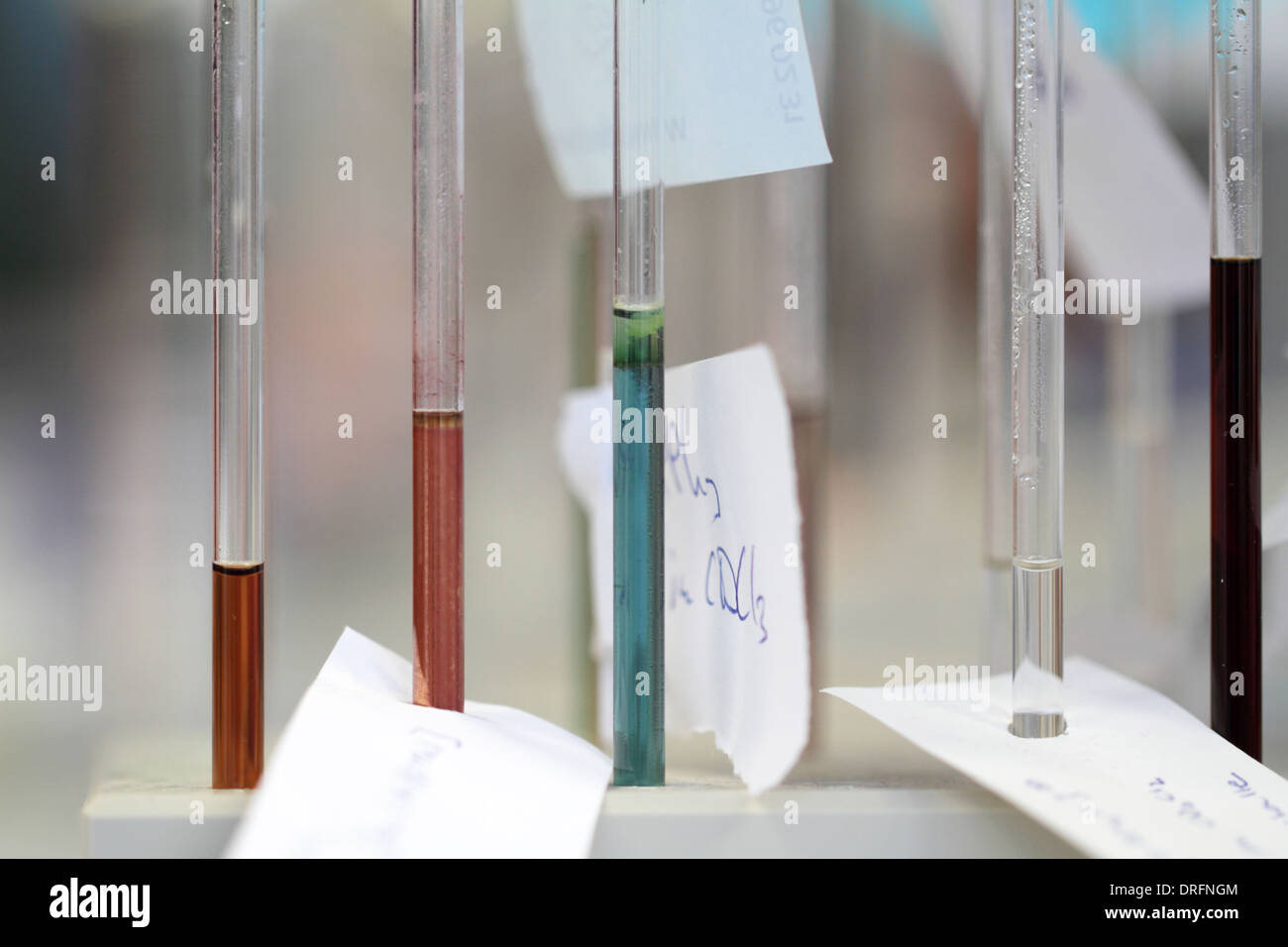 Beaucoup de petits échantillons avec des tubes de verre dans un laboratoire chimique Banque D'Images
