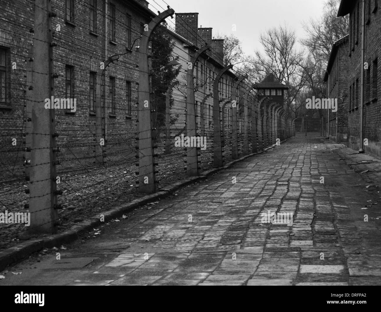 Clôture électrique et tour de garde au camp de concentration d'Auschwitz en Pologne Banque D'Images