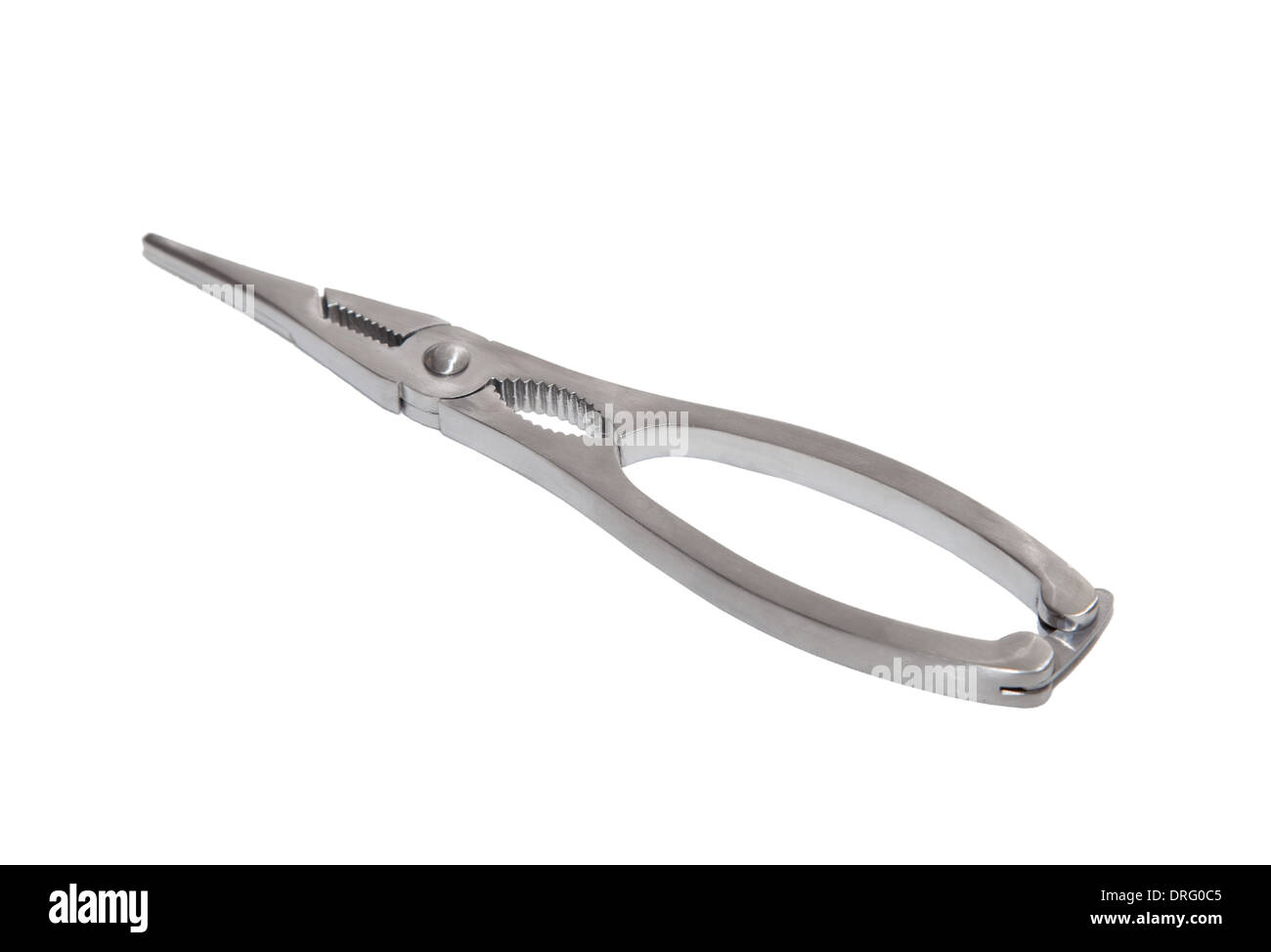 Pince à homard sont un utile outil de cuisine pour vous aider à ouvrir les coquilles de homard et autres fruits de mer. Banque D'Images