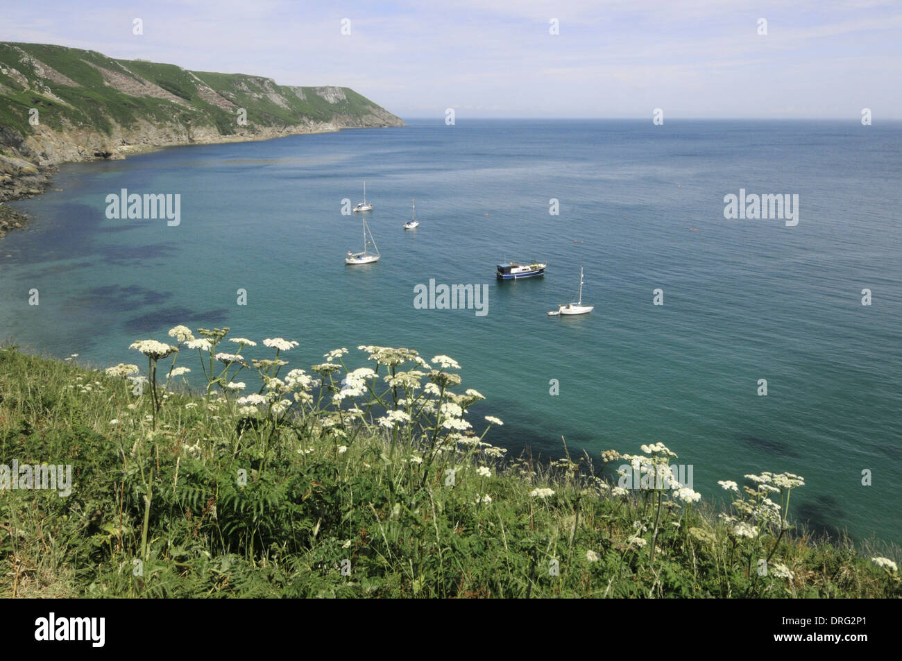 La baie d'atterrissage et d'east side, Lundy, Devon Banque D'Images