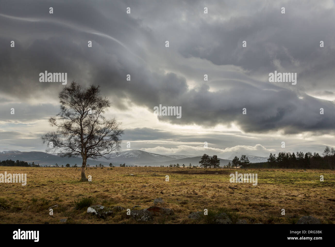 Nuages lenticulaires sur le Cairngorms de Nethy Bridge en Ecosse. Banque D'Images