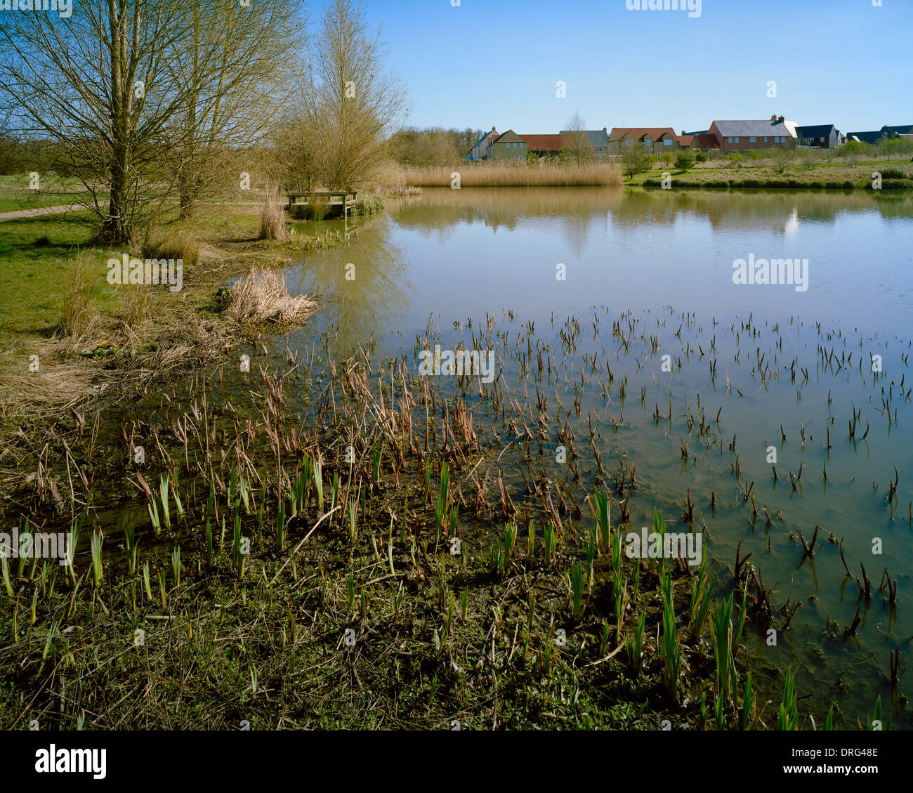 Lac Ewart Cambourne Country Park Cambridgeshire Banque D'Images