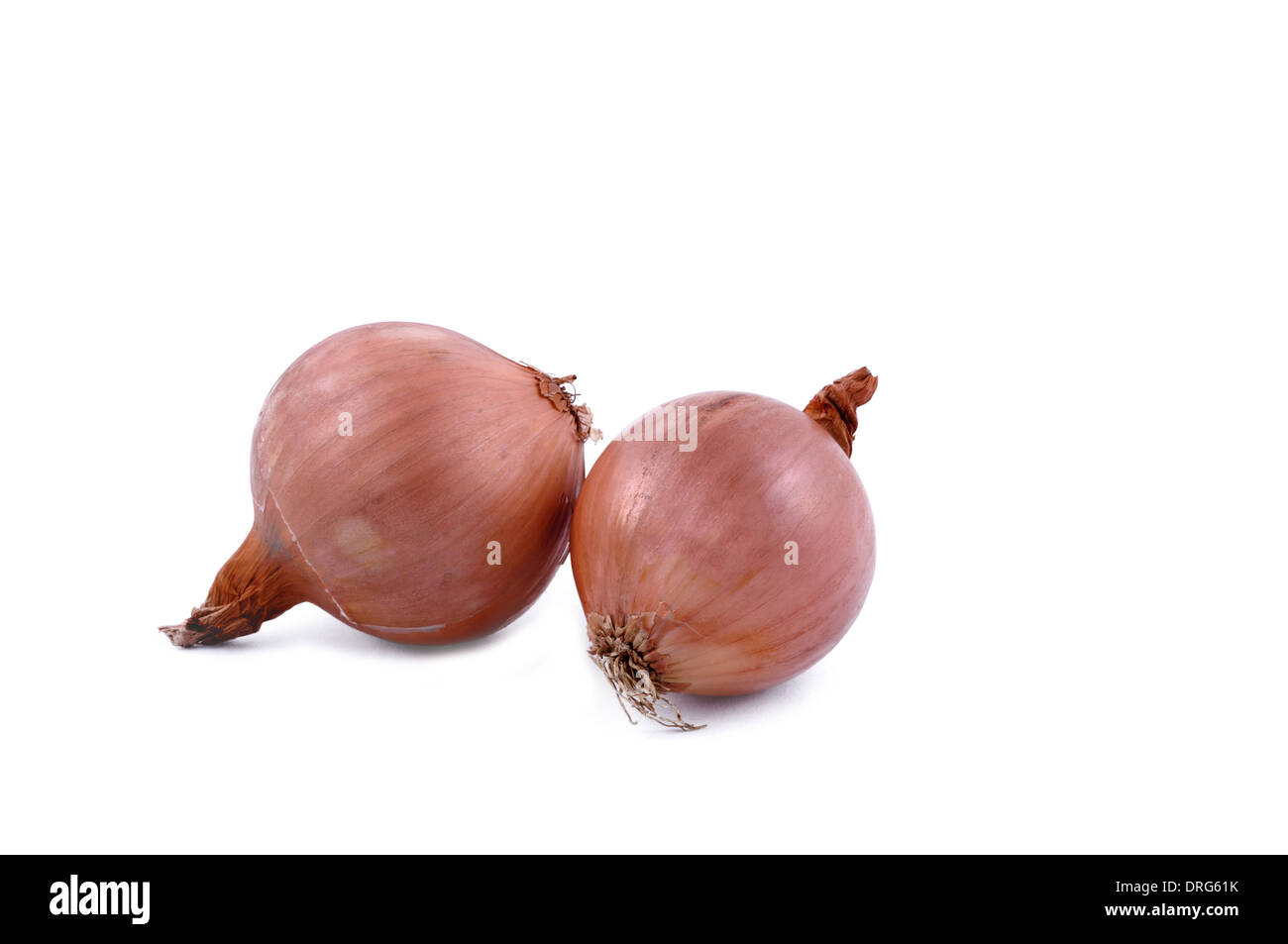 Deux gros oignon ampoule sur fond blanc. Studio shot horizontale Banque D'Images