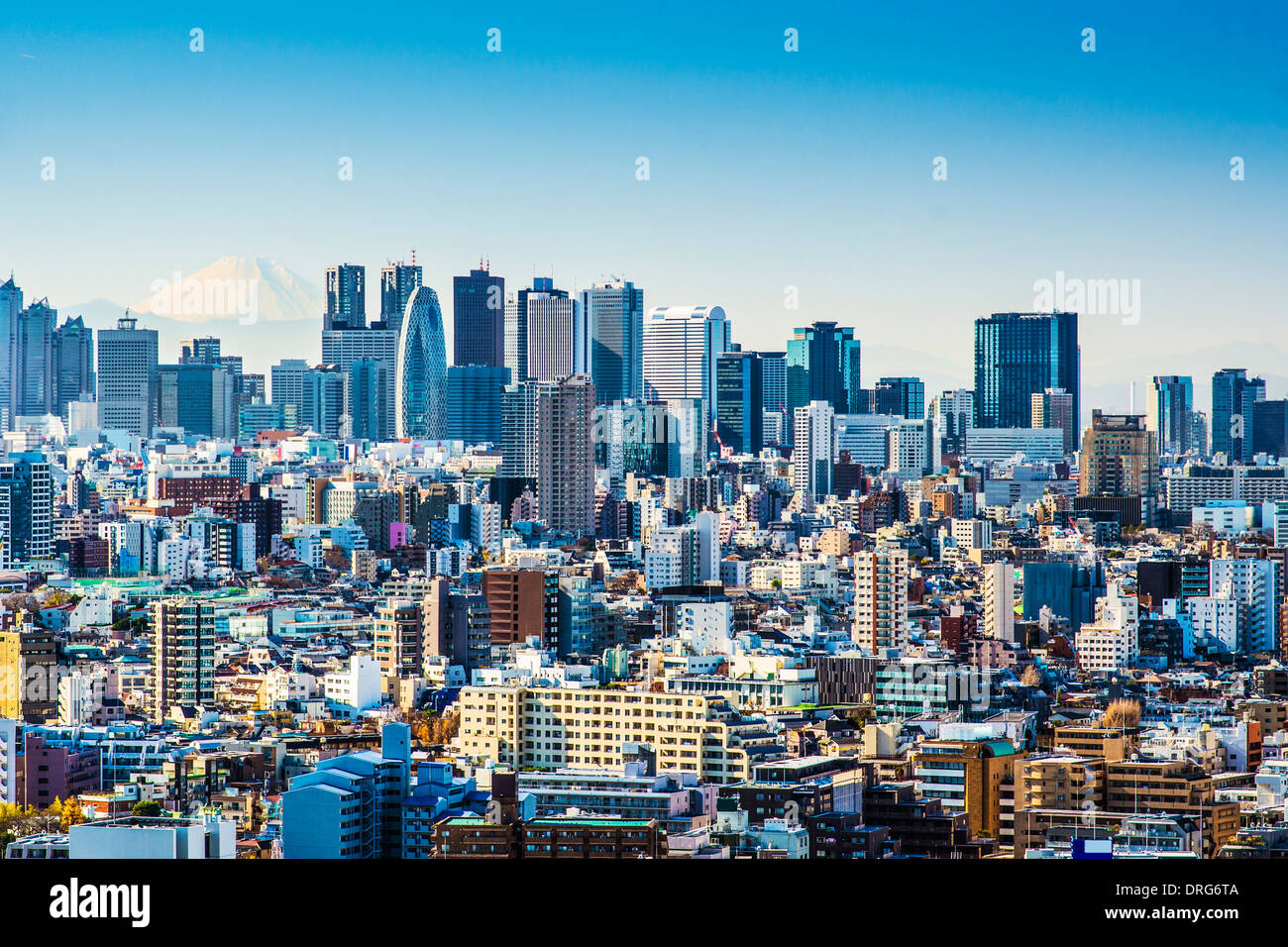 Tokyo, Japon à Shinjuku avec Fuji Mountain à l'horizon. Banque D'Images