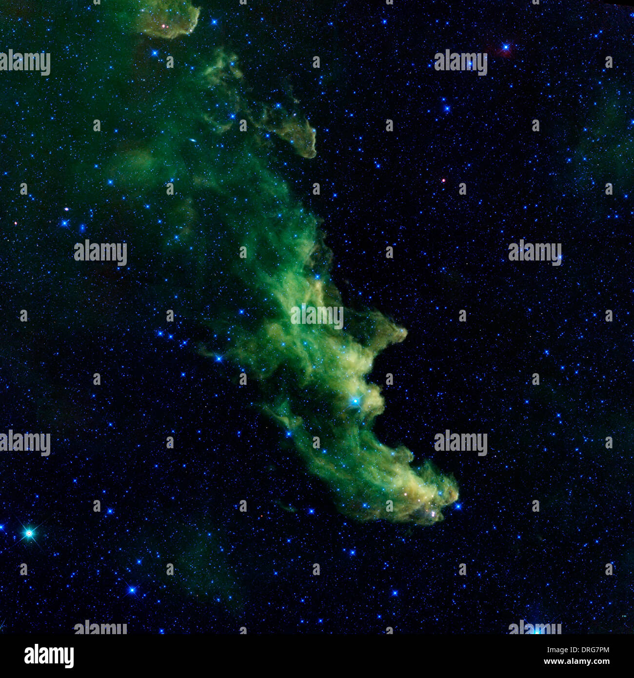 Cette photo infrarouge montre la nébuleuse de la tête de sorcière. Prises par la NASA's spectrographe Infrared Survey Explorer, ou sage. Banque D'Images