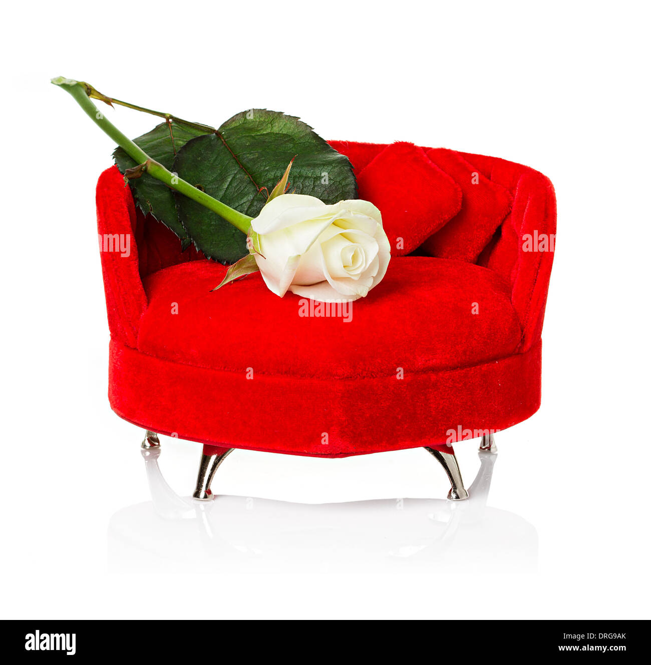 Canapé rouge, la table avec white rose close-up isolated Banque D'Images
