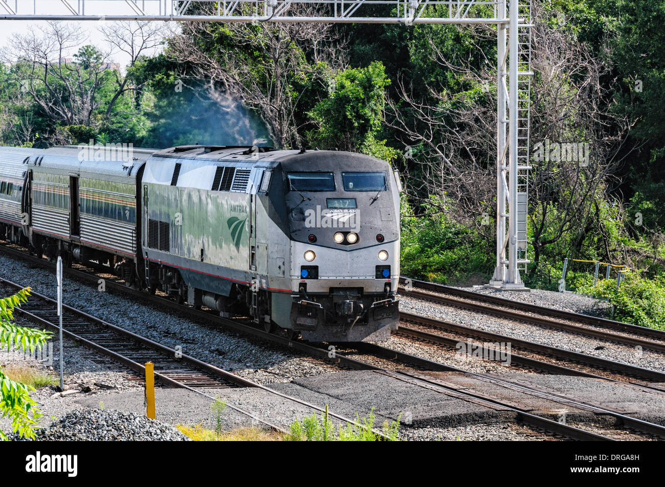 Amtrak P42DC no 117 locomotives entraînant le passage de Palmetto de Crystal City, Virginia Banque D'Images