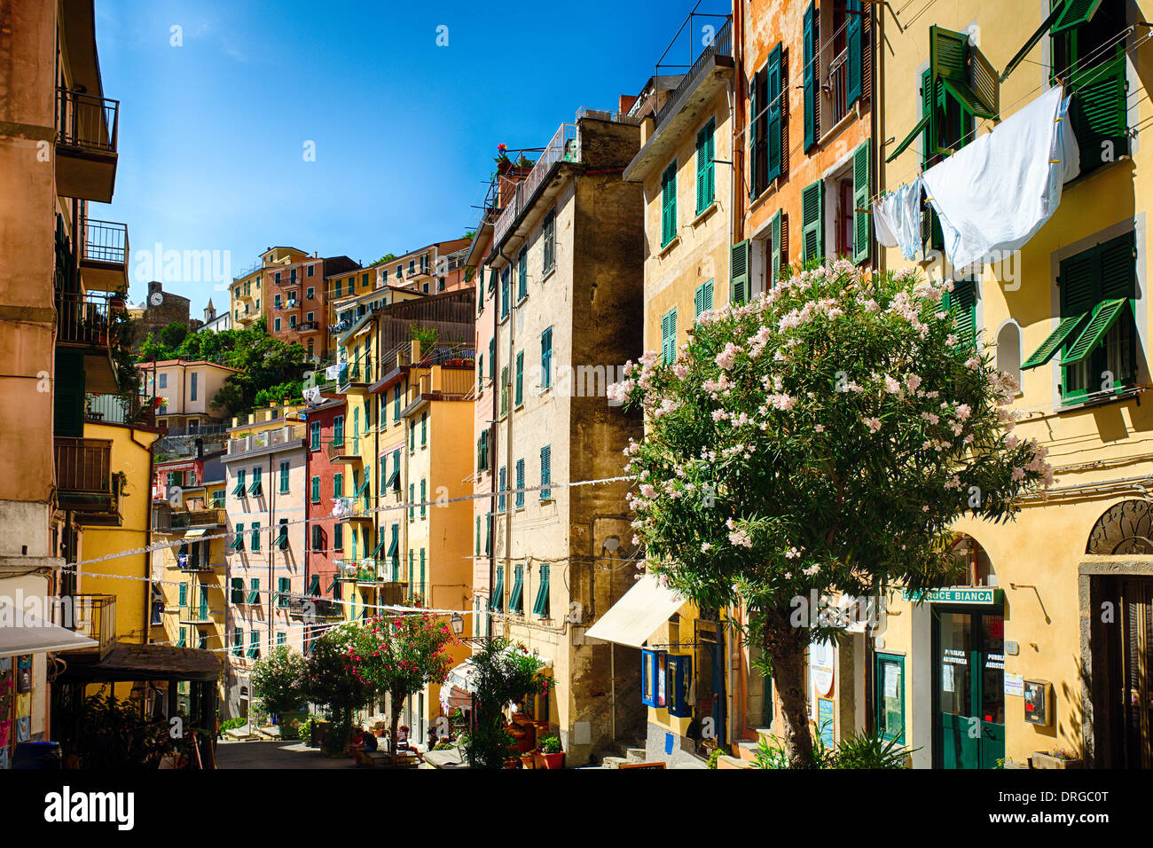 Rue colorée de Riomaggiore, Cinque Terre, ligurie, italie Banque D'Images