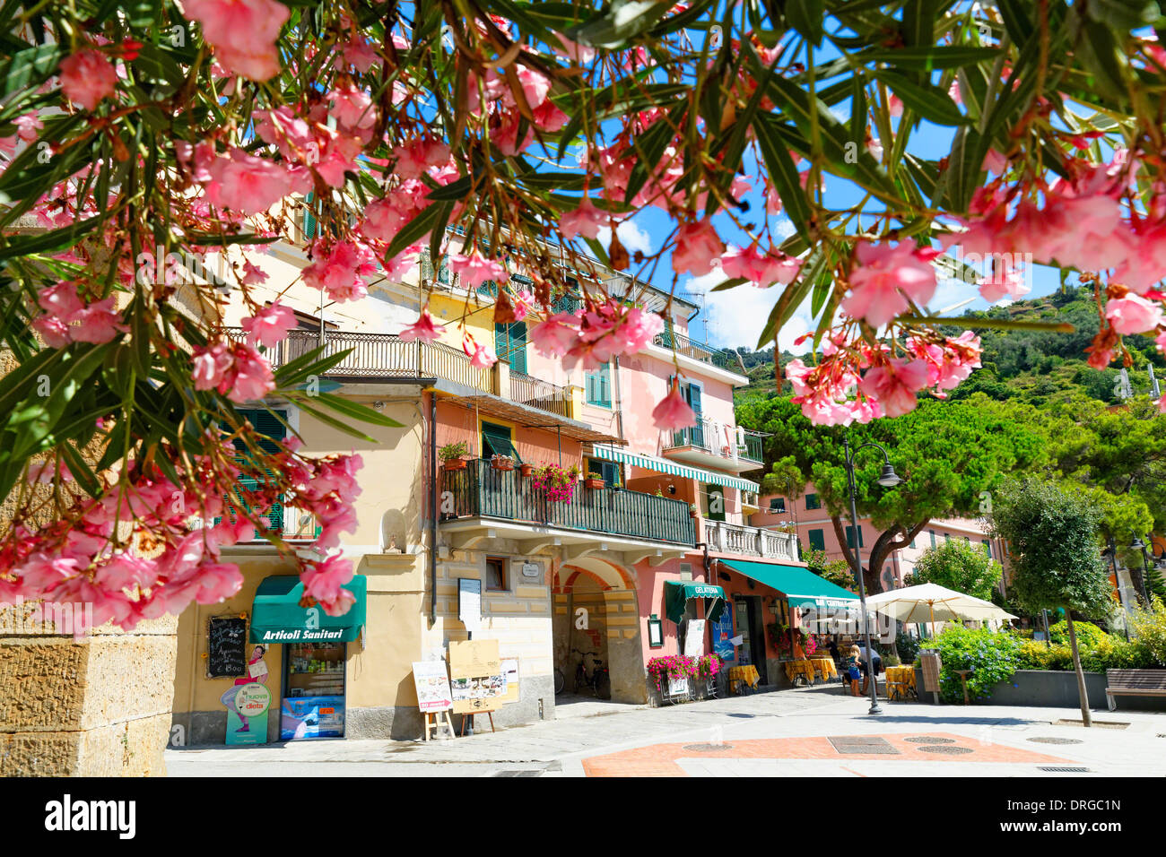 Vu de l'extérieur de maison sous un arbre en fleurs, Monterosso al Mare, Cinque Terre, ligurie, italie Banque D'Images