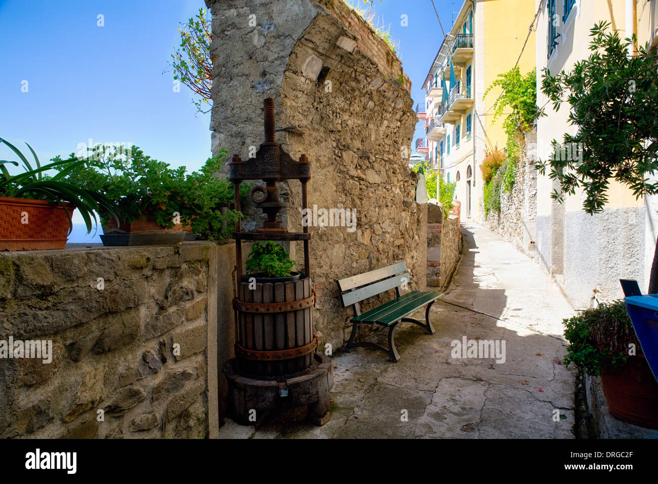 Ruelle avec un vieux pressoir, Corniglia, Cinque Terre, ligurie, italie Banque D'Images