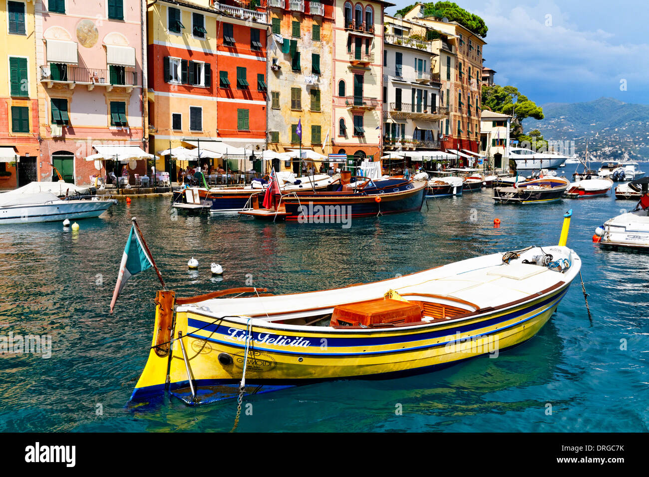 Bateaux traditionnels colorés dans un port, Portofino, ligurie, italie Banque D'Images