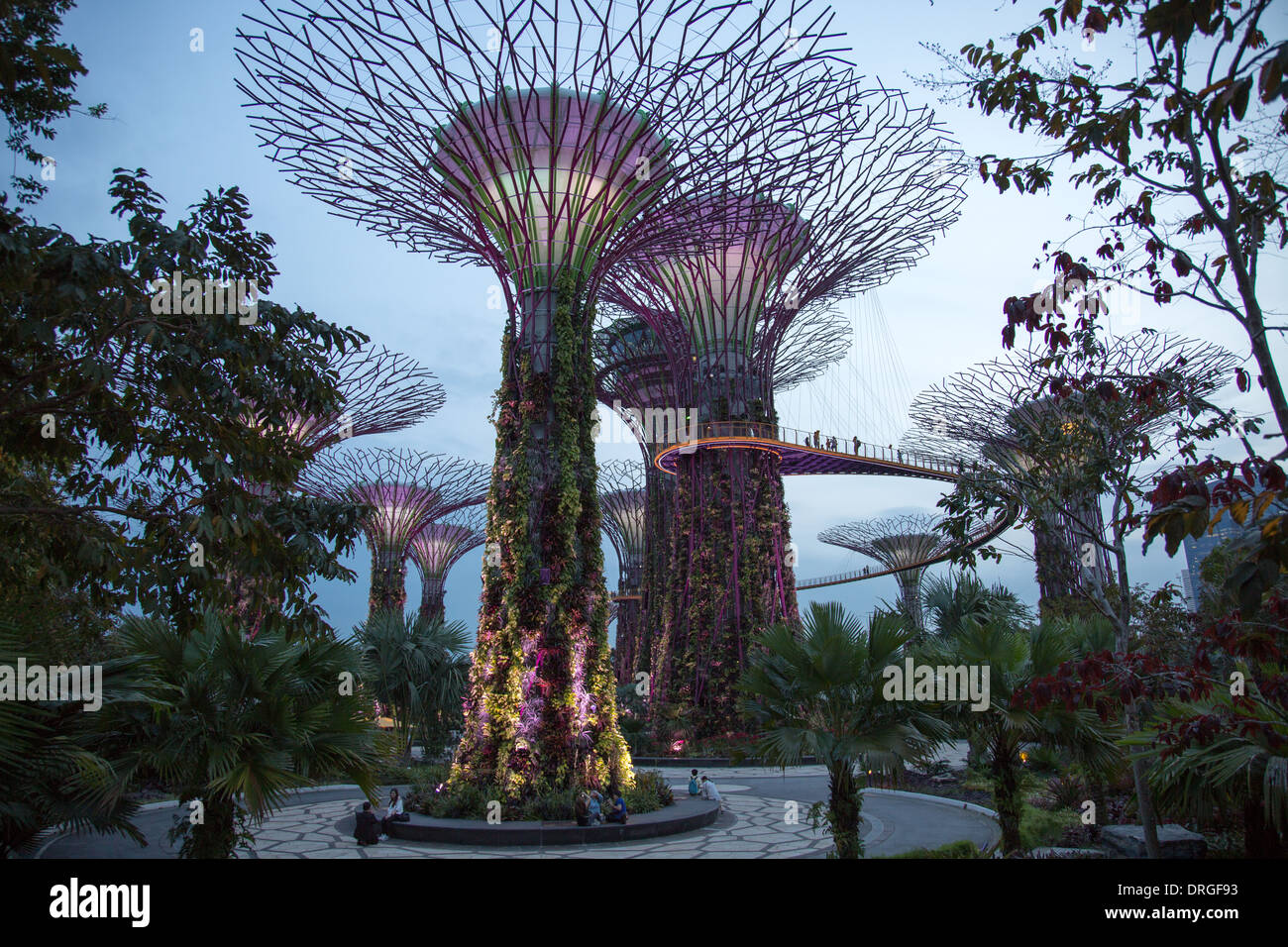 Les Jardins de la baie Singapour Banque D'Images