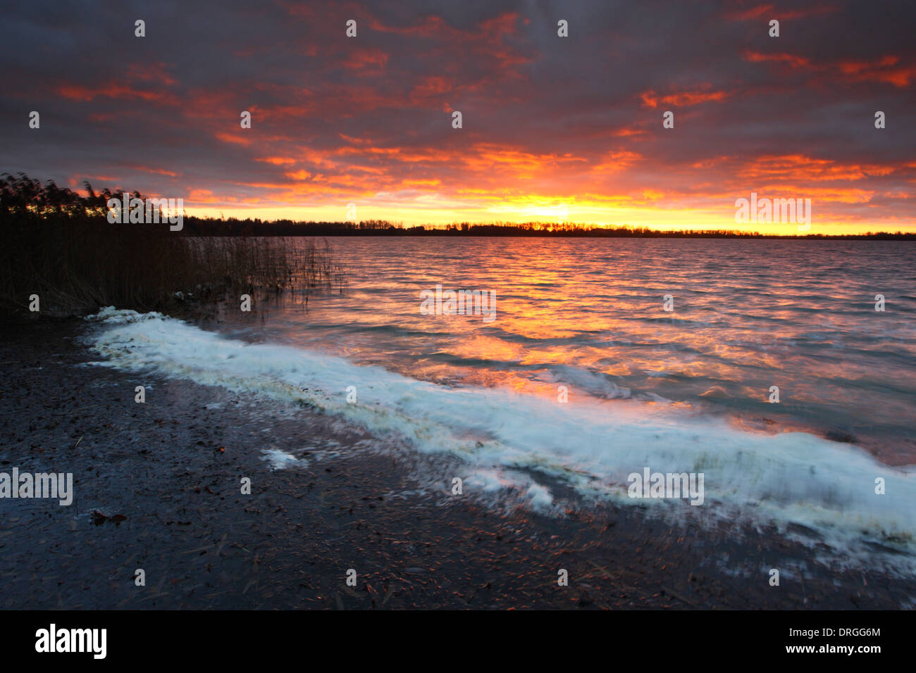 Saadjärv Lac au coucher du soleil. L'Estonie, Europe Banque D'Images