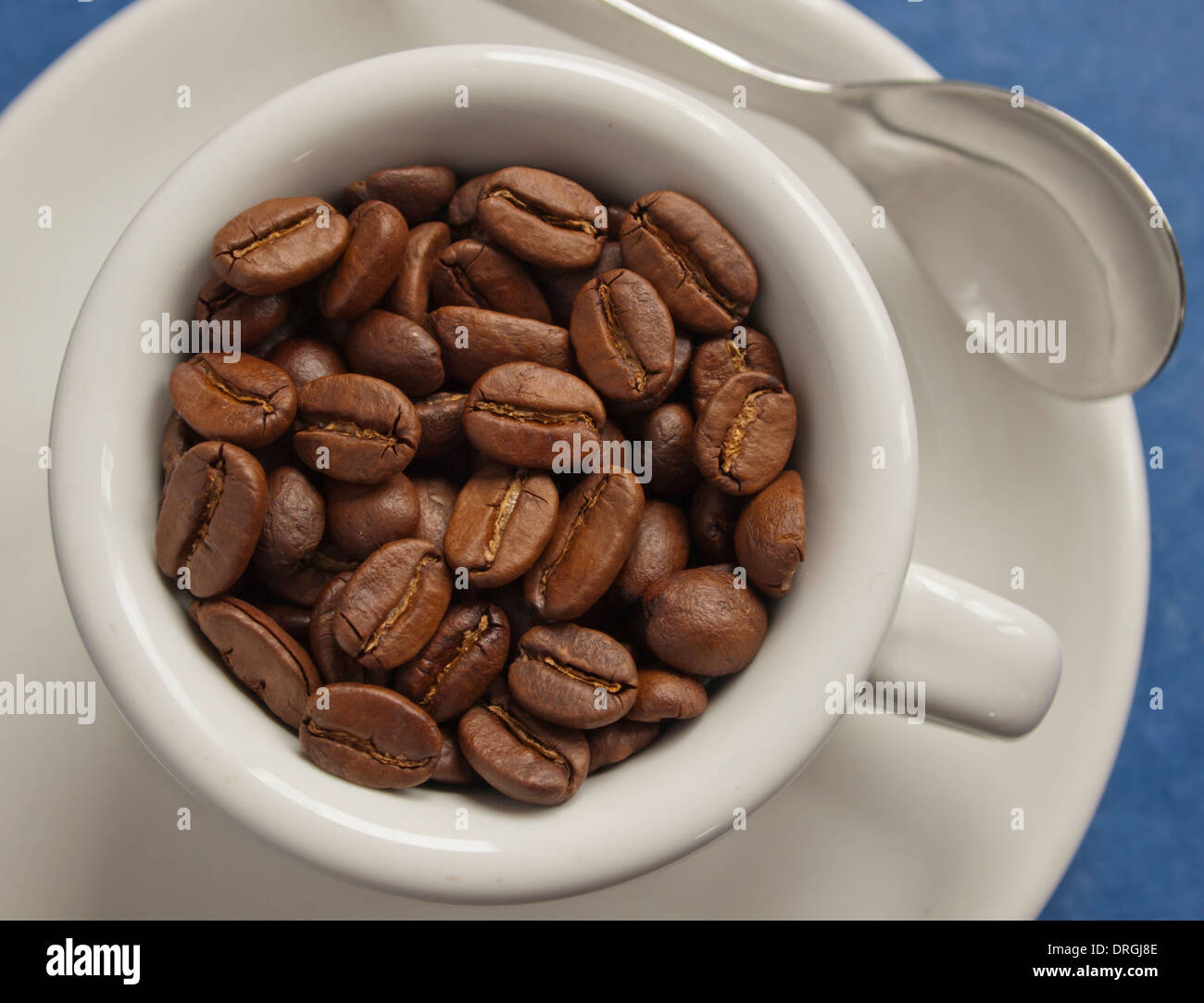 Les grains de café arabica frais dans espresso cup / close-up Banque D'Images