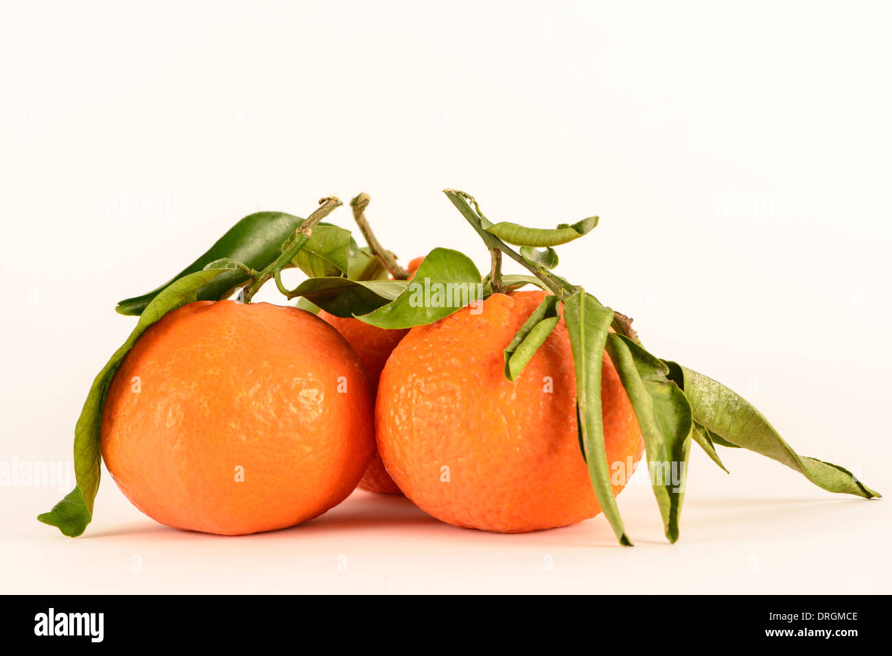 Trois des satsumas avec des feuilles sur un fond blanc. Banque D'Images