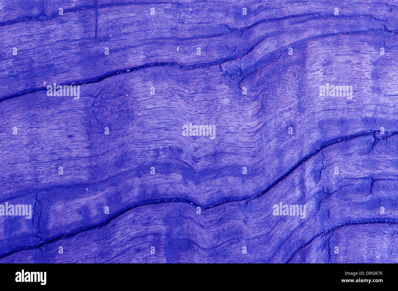 Close up vieux fond de bois , bois de chêne bleu Banque D'Images