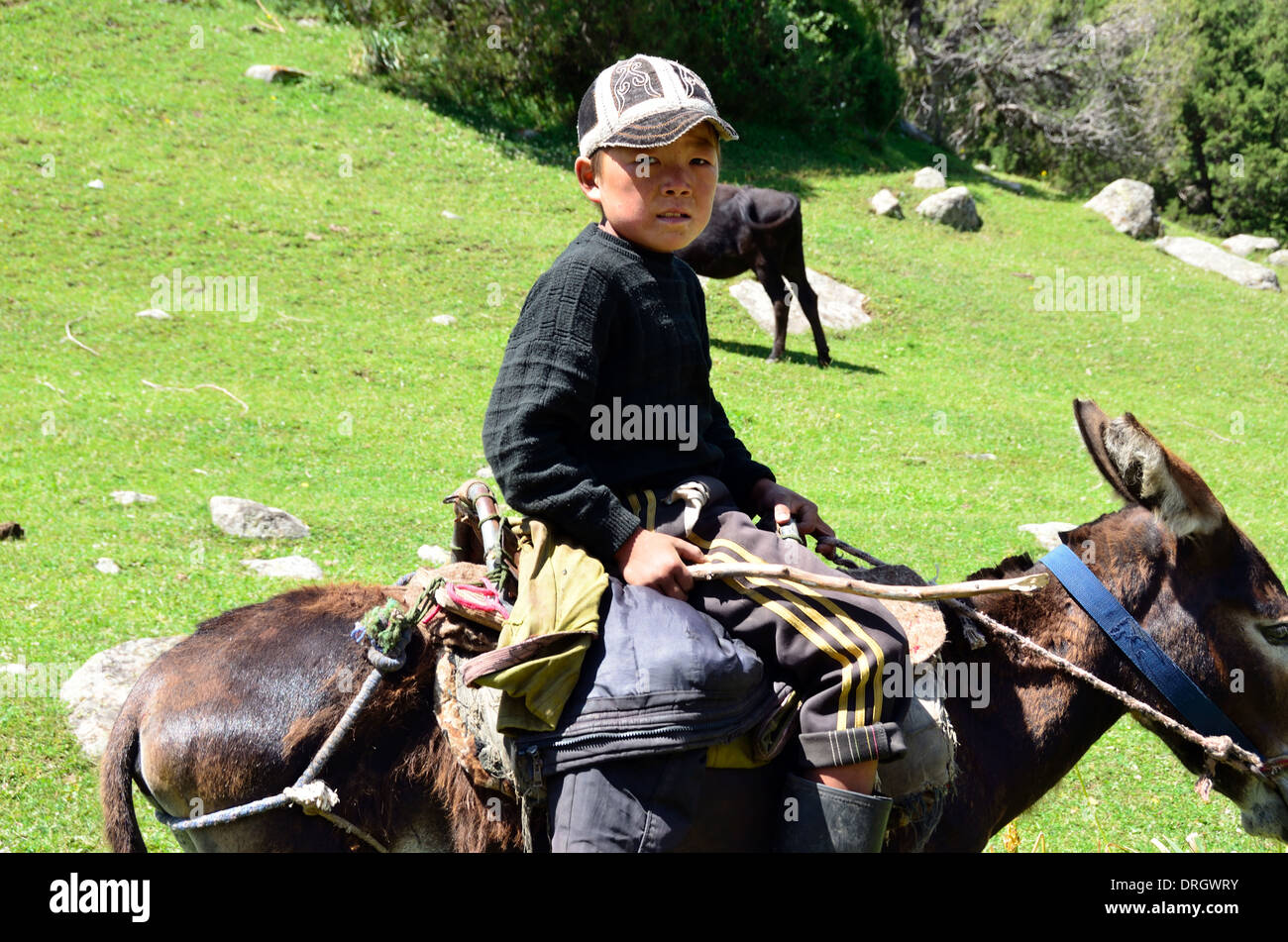 Cavalier kirghize dans les montagnes du Sud Kirghizistan Banque D'Images