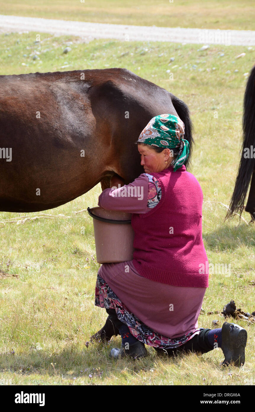 Femme kirghize traire une mare dans les montagnes du centre du Kirghizistan Banque D'Images