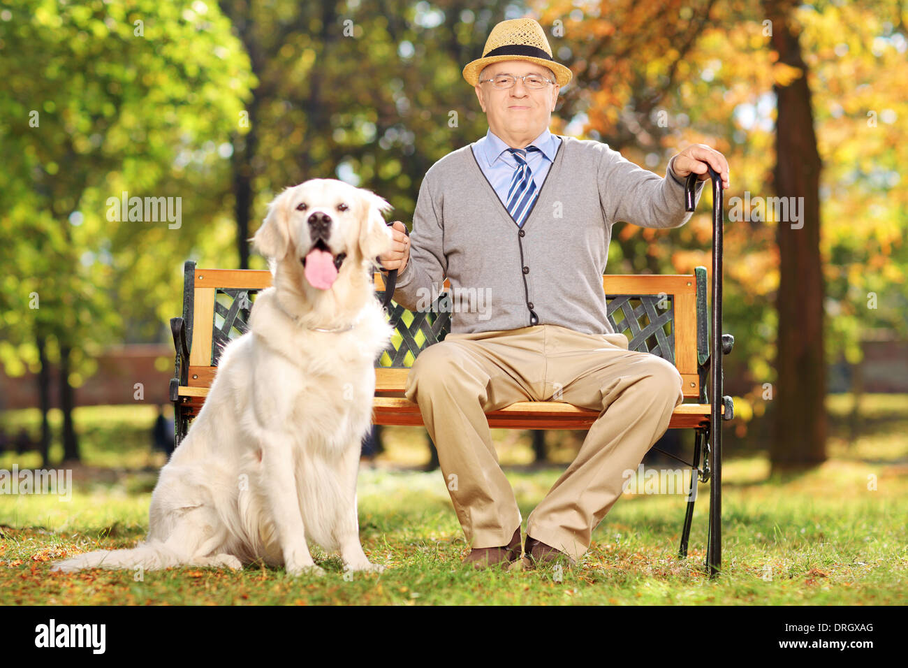 Hauts homme assis sur un banc avec son labrador retriever, dans un parc Banque D'Images