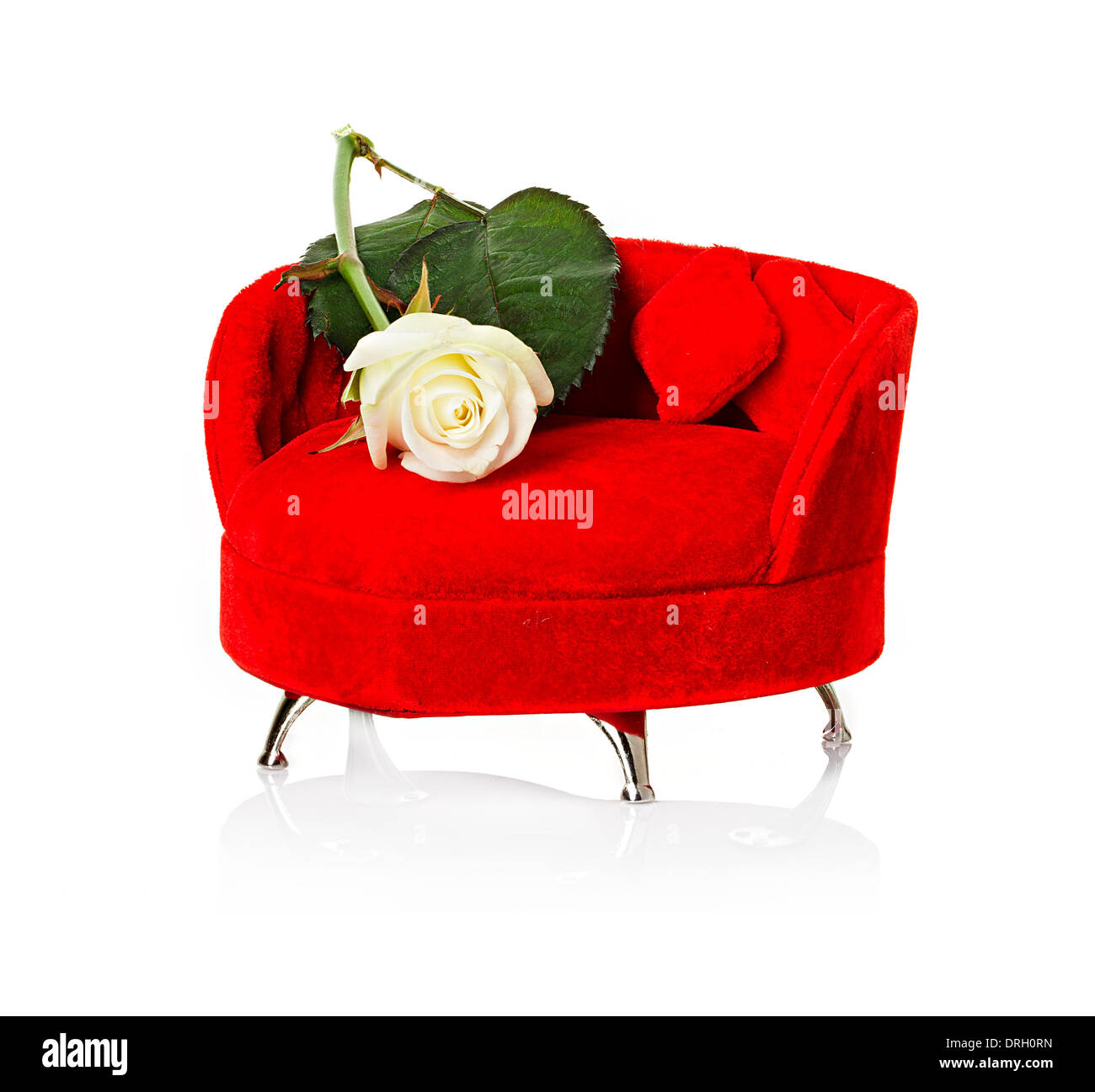 Canapé rouge, la table avec white rose close-up isolated Banque D'Images