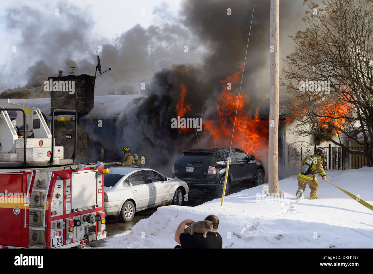 L'homme en t-shirt holding cat en hiver tandis que sa maison brûle avec les pompiers luttent pour abattre les flammes de l'incendie de structure Ottawa Canada Banque D'Images