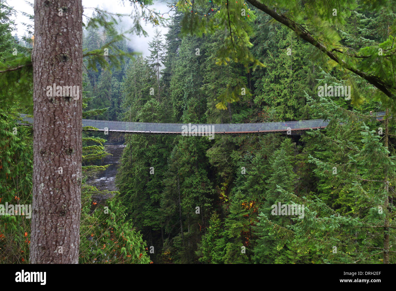 Capilano Suspension Bridge près de Vancouver au Canada Banque D'Images