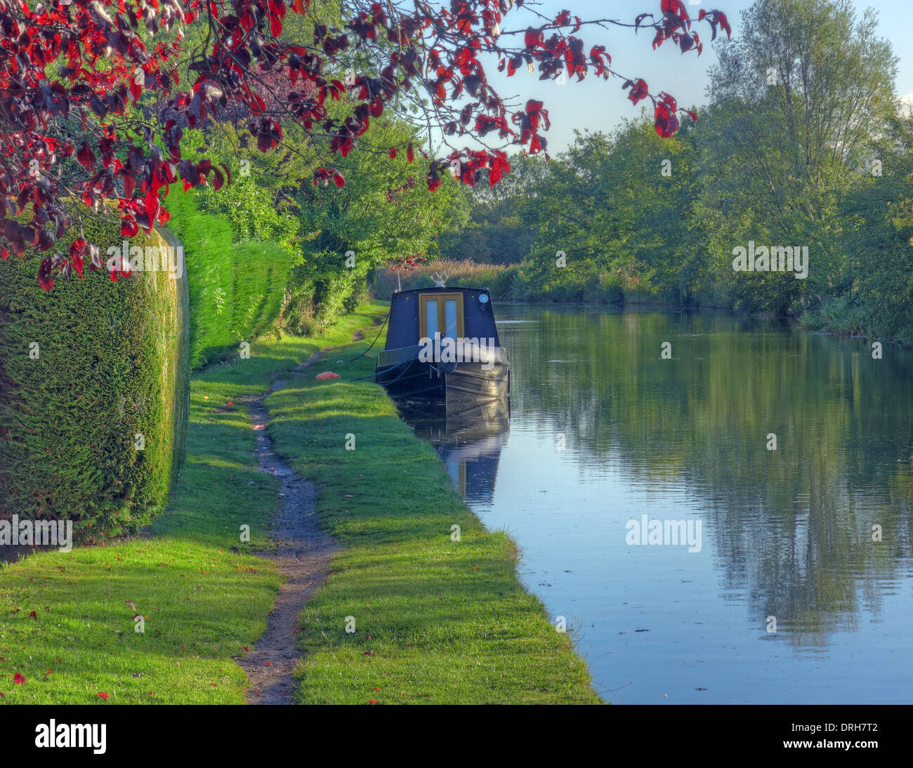 Scène au bord du canal de Bridgewater printemps Grappenhall, Cheshire, England, UK Banque D'Images