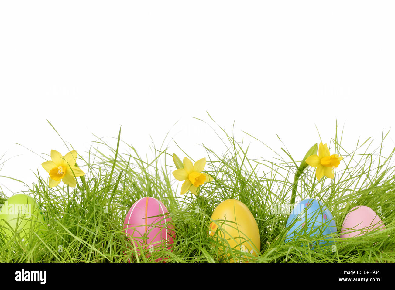 Oeufs de Pâques cachés dans l'herbe avec daffodil Banque D'Images