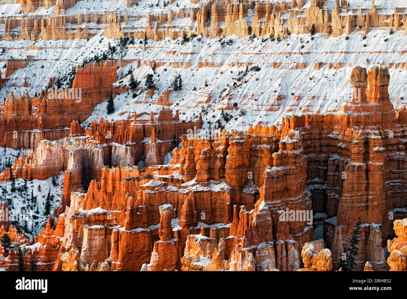 La première lumière sur la neige l'automne révèle hoodoos à Sunset Point dans l'Utah, le Parc National de Bryce Canyon. Banque D'Images