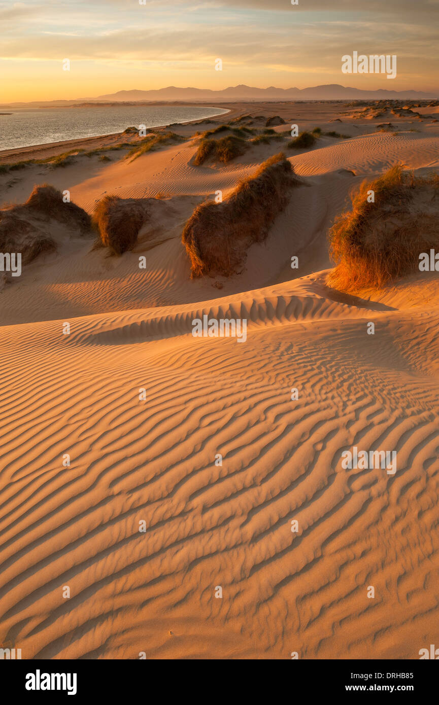 Dunes de sable au lever du soleil à Sandy Point, Victoria, Australie. Banque D'Images