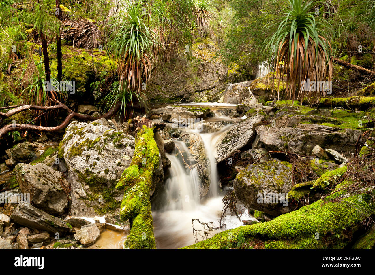 Une chute sur le Plateau Creek au Cradle Mountain - Lake St Clair National Park, Tasmanie, Australie. Banque D'Images