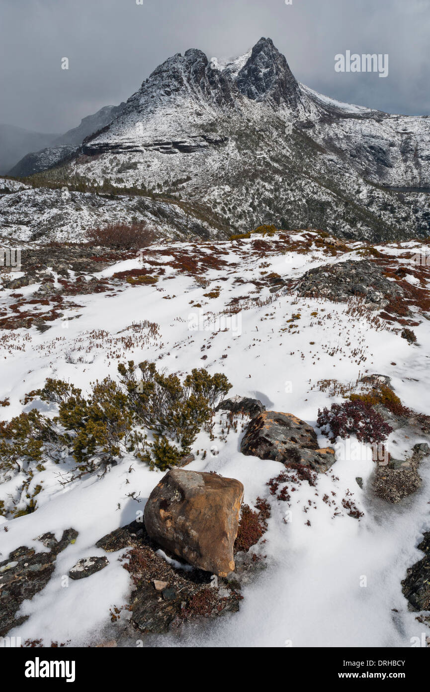 Cradle Mountain dans une averse de neige à Cradle Mountain - Lake St Clair National Park, Tasmanie, Australie. Banque D'Images