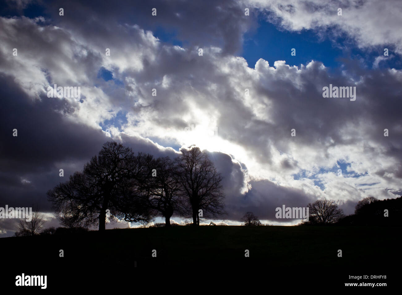 La silhouette du paysage, Hampstead Heath Banque D'Images
