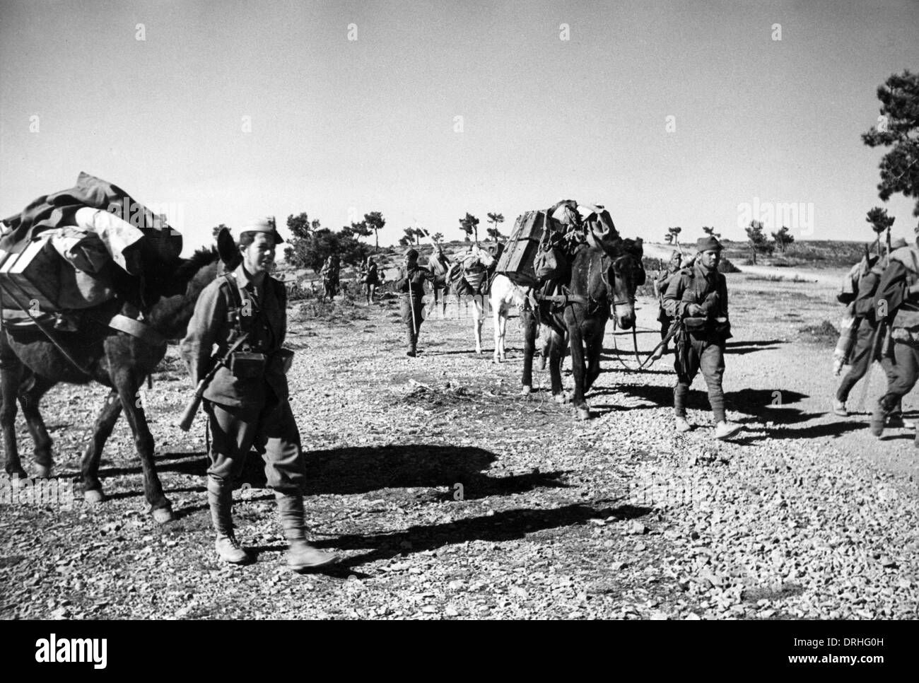 Fournitures de munitions par l'âne, l'Afrique du Nord, WW1 Banque D'Images