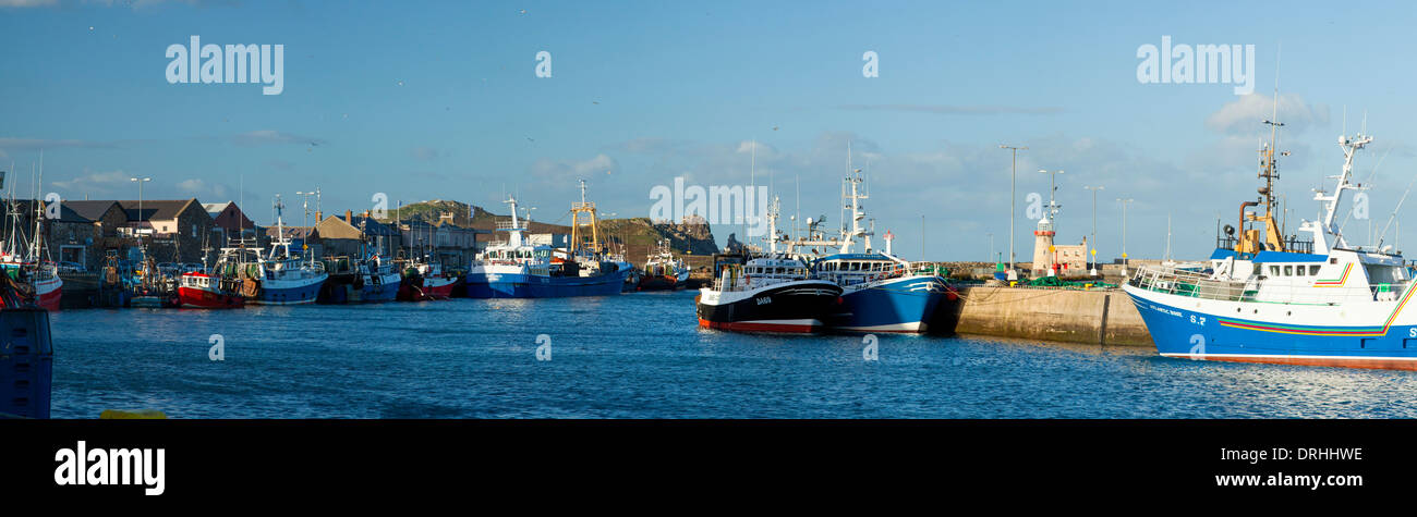 Les chalutiers de pêche en Howth Harbour, comté de Dublin, Irlande. Banque D'Images