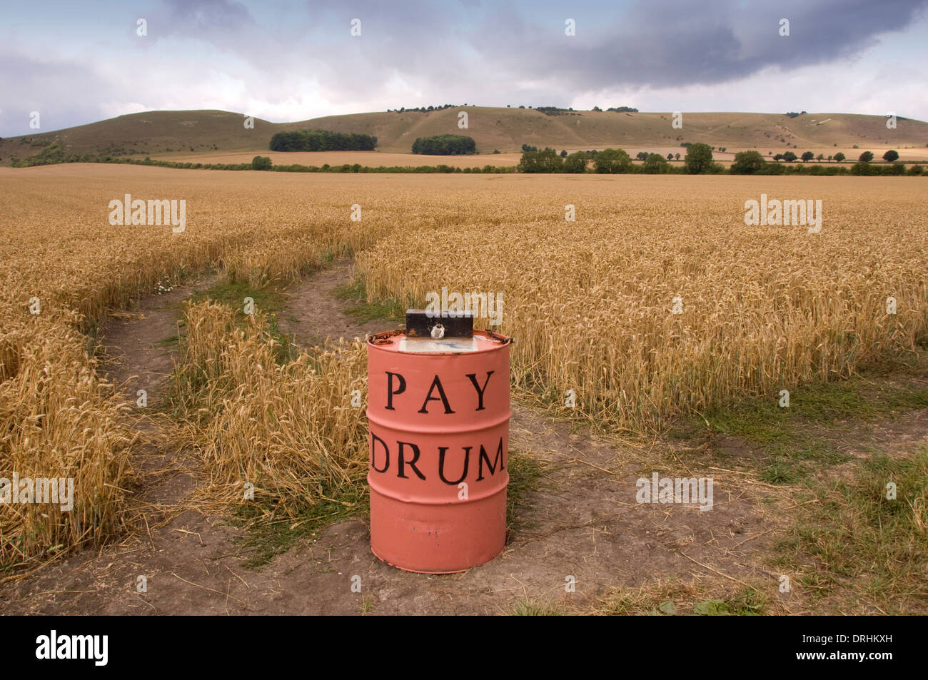 Les cercles de récolte dans les champs de blé près de Alton Barnes, Wiltshire.Ces créations s'aplatissent les cultures pour faire des modèles intéressants. Banque D'Images