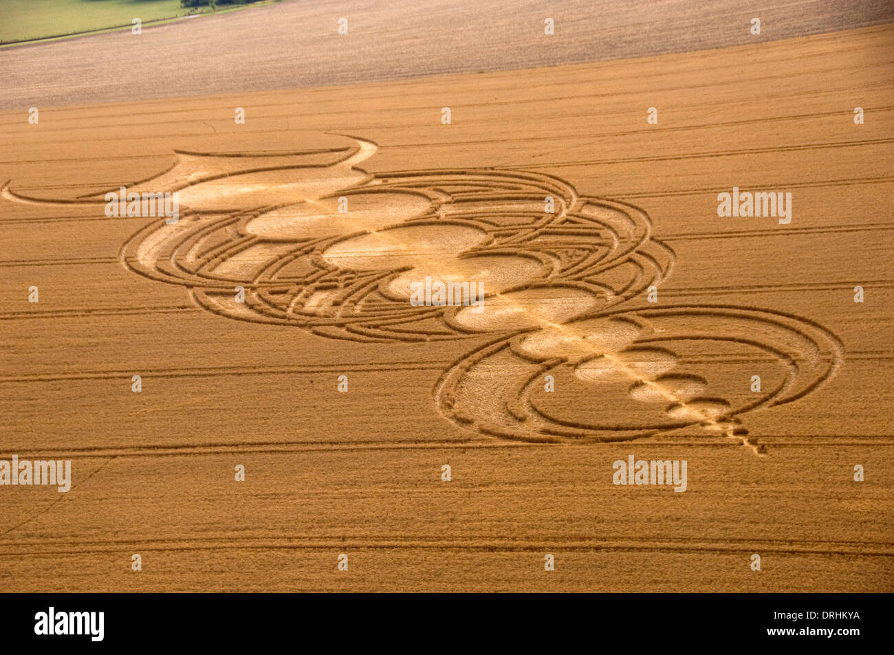 Les cercles de récolte dans les champs de blé près de Alton Barnes, Wiltshire.Ces créations s'aplatissent les cultures pour faire des modèles intéressants. Banque D'Images