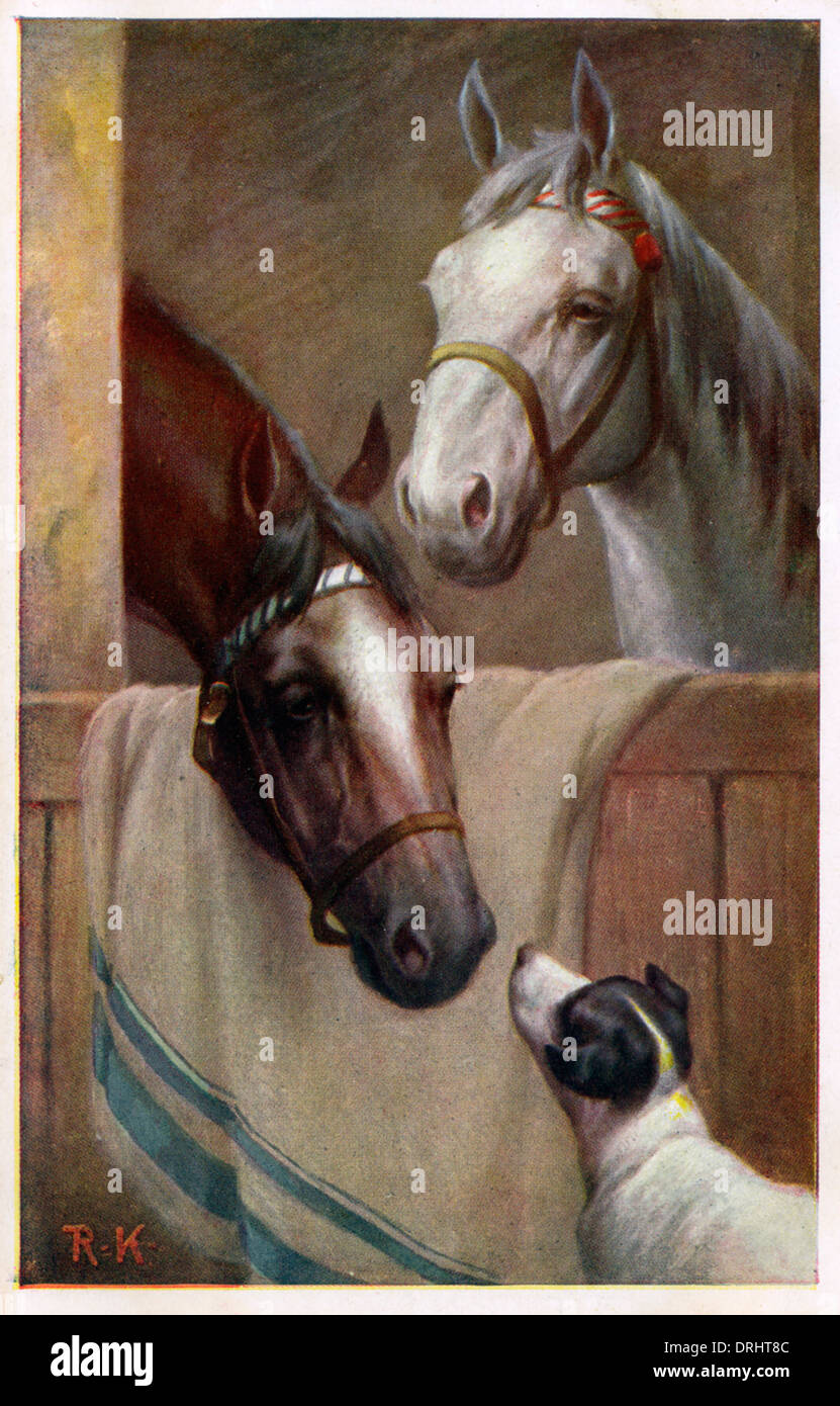 Deux chevaux dans l'étable avec un petit terrier Banque D'Images