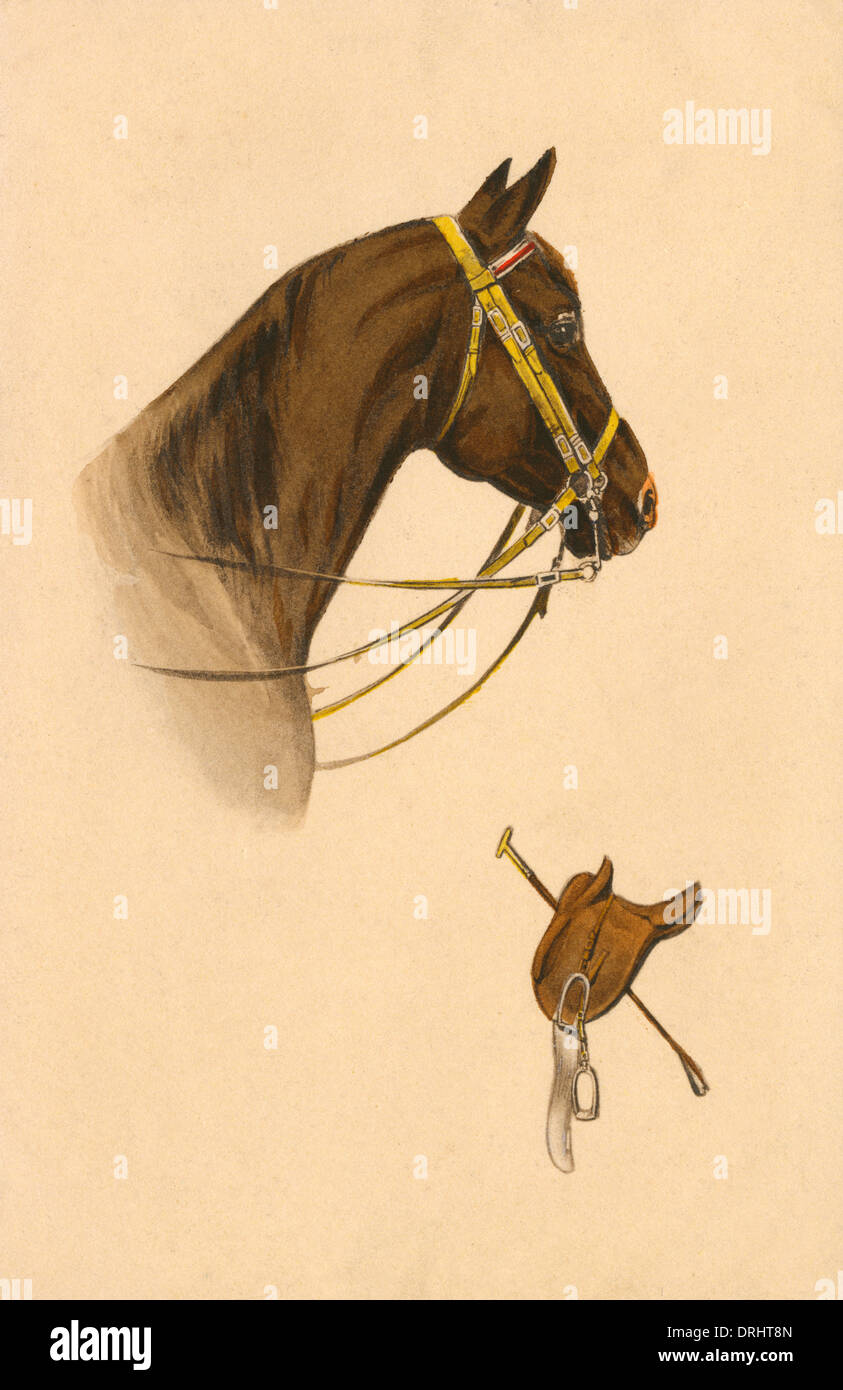 Cheval brun avec double-face pelham peu Banque D'Images