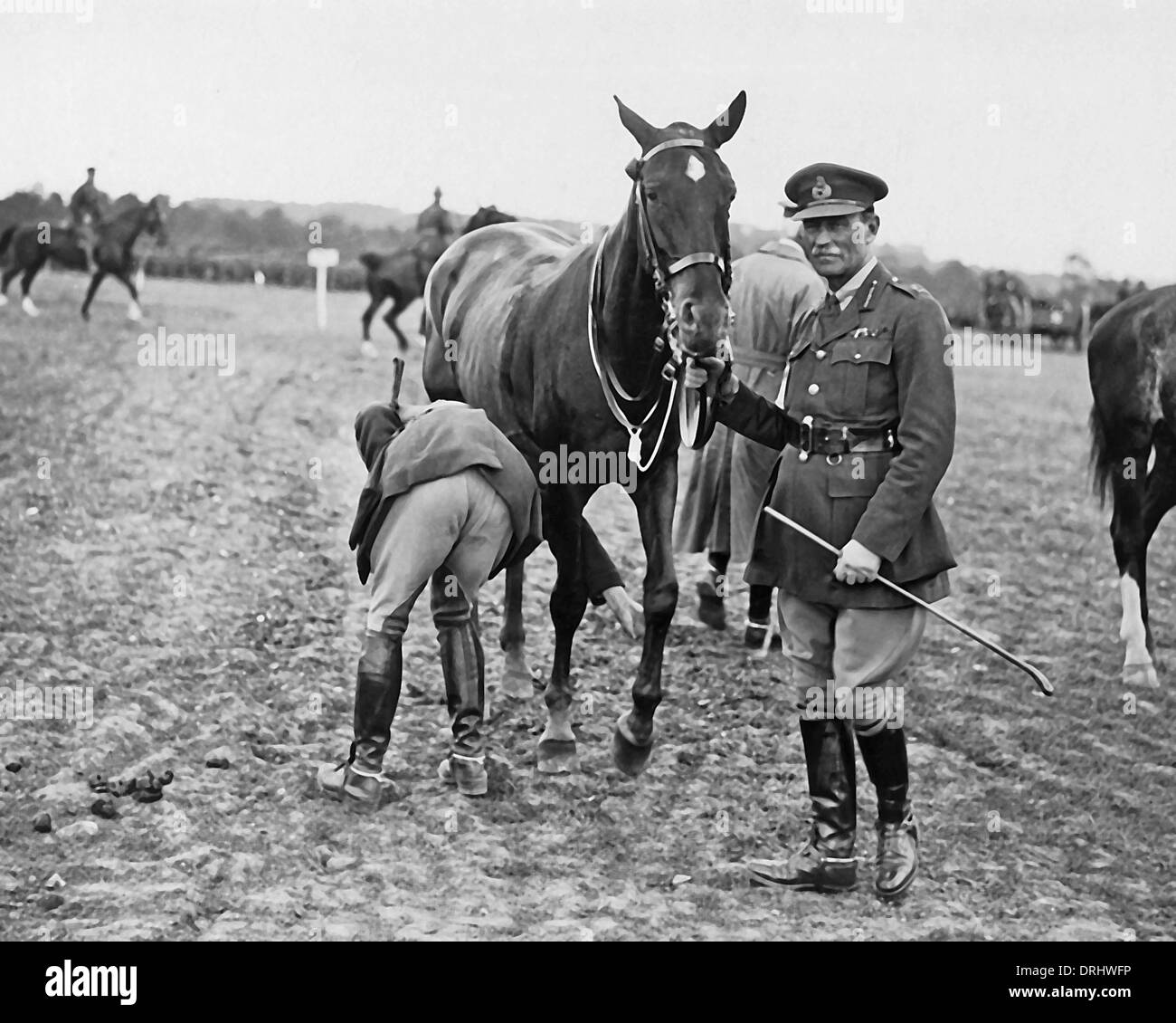 Division néo-zélandaise horse show, Western Front, WW1 Banque D'Images