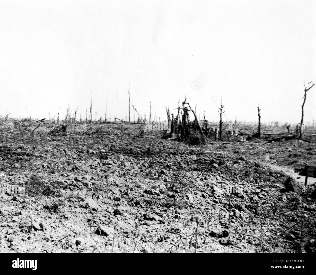 Vestiges de Pozieres, France, Front de l'Ouest, WW1 Banque D'Images