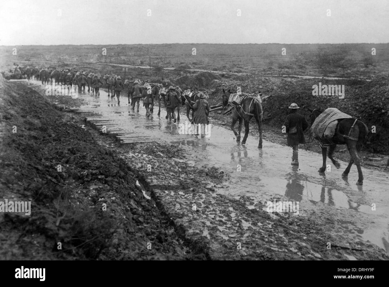 Munitions sur mules, Front de l'Ouest, France, WW1 Banque D'Images
