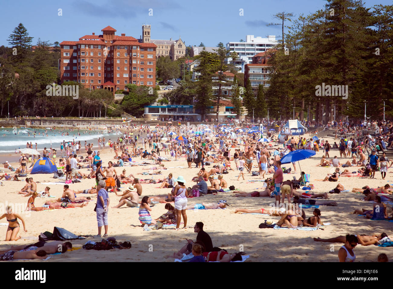 En regardant vers le sud le long de Manly Beach à Sydney, Australie Banque D'Images