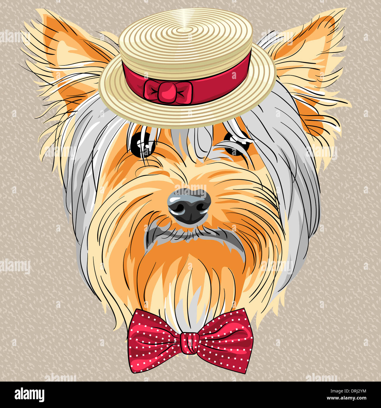 yorkie tie