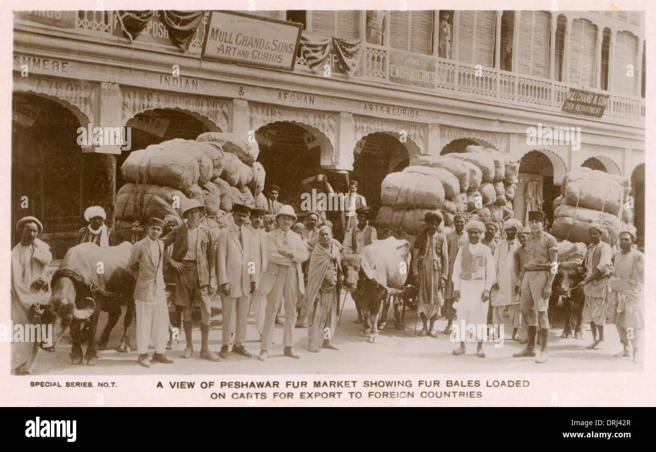 Peshawar - Marché de la fourrure avec les balles chargées sur des charrettes Banque D'Images