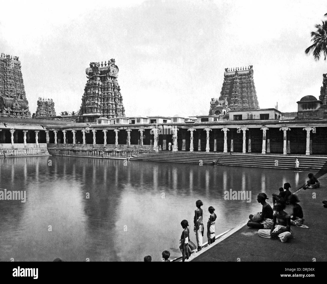 Golden Lily Tank, Madurai, Tamil Nadu, Inde Banque D'Images