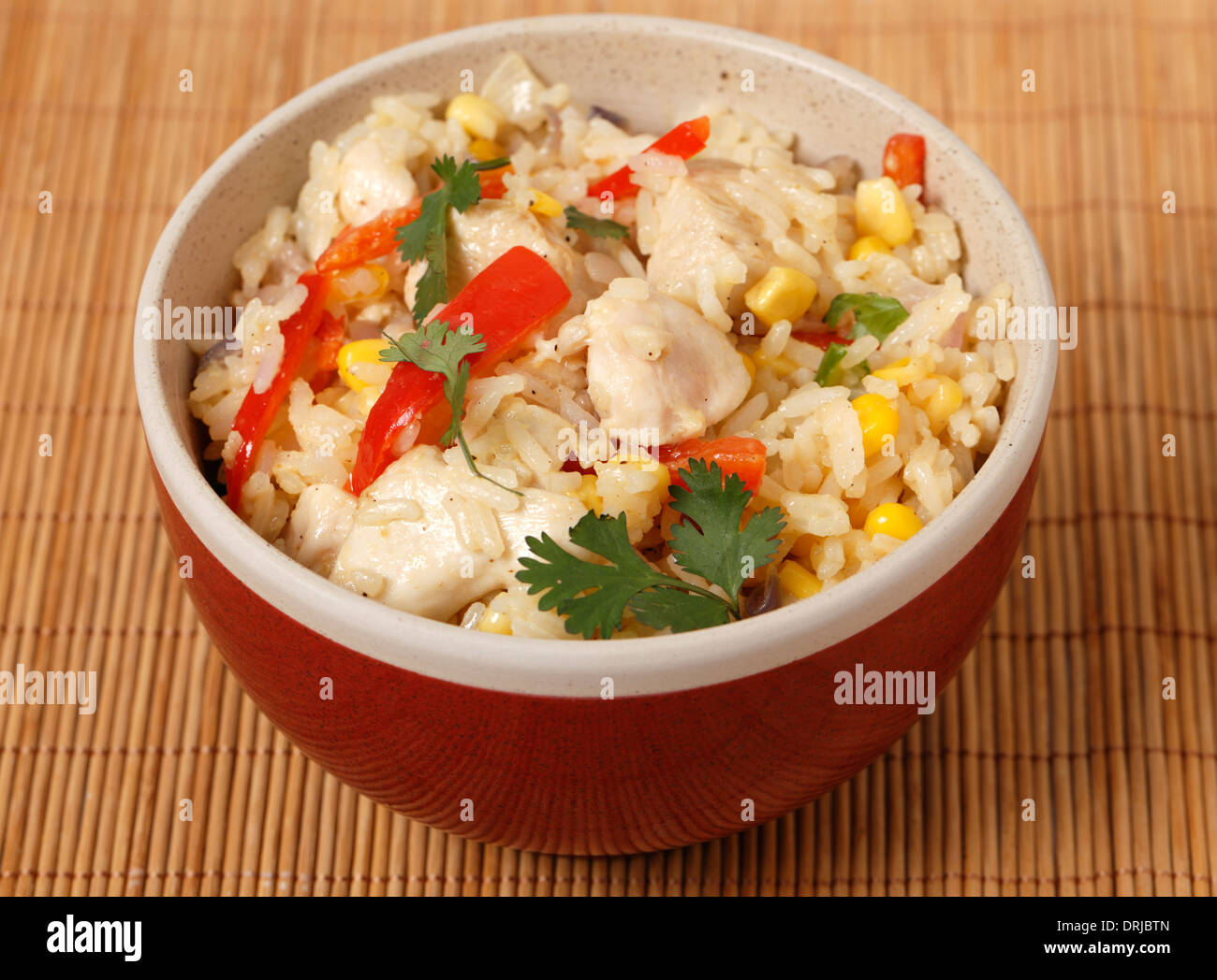 Riz frit au poulet, poivron, contenant du riz, de l'ail, gingembre et épices,oeufs dans un bol, Banque D'Images