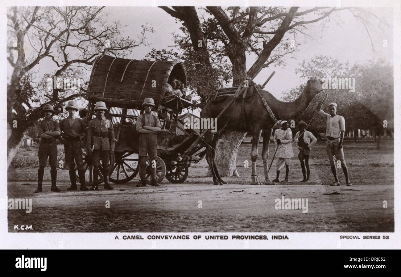 Organisation des provinces, de l'Inde - Transport de Chameaux Banque D'Images