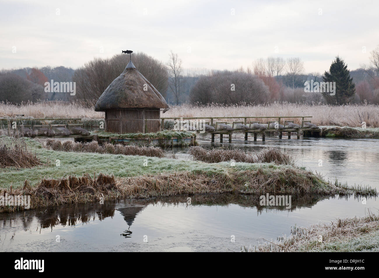 Givre sur la rivière et d'essai, cabane de pêche sur la chaume Longstock, Hampshire, Angleterre Banque D'Images