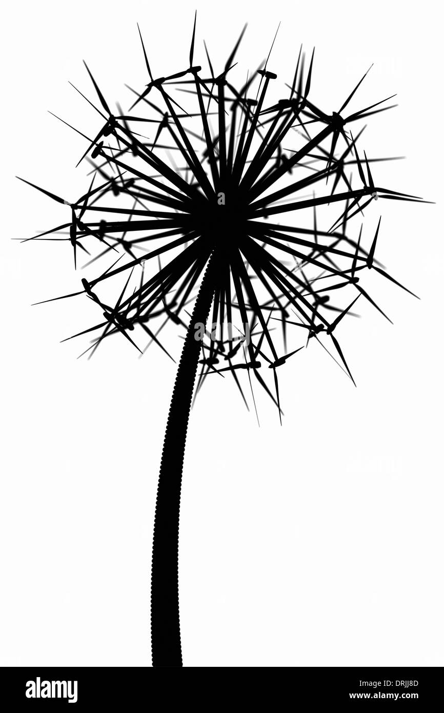 Pissenlit des générateurs du vent (version noir et blanc) Banque D'Images